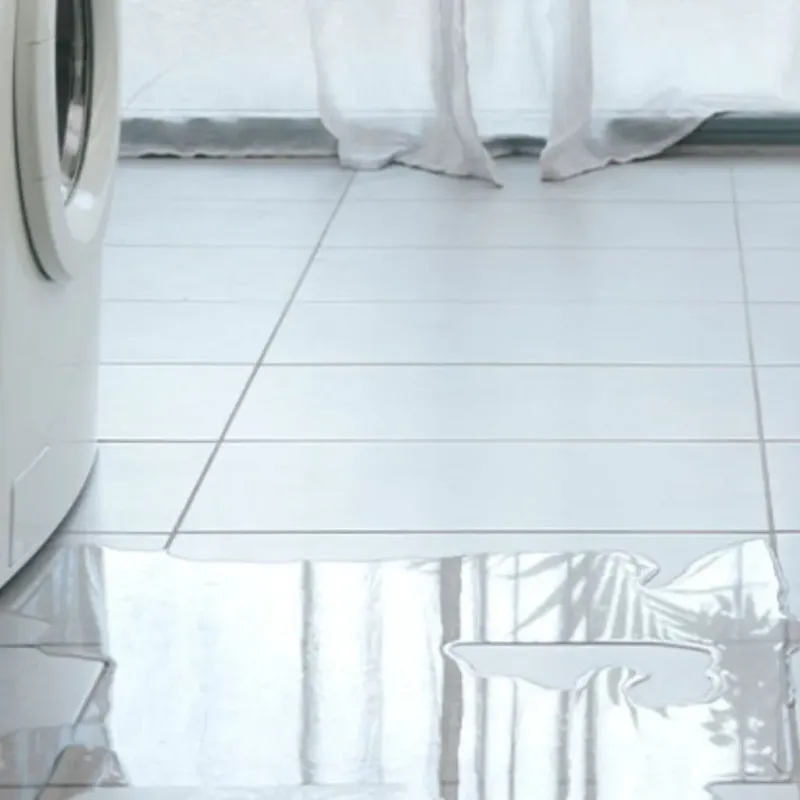 Appliance Leak Cleanup in Sparks, GA