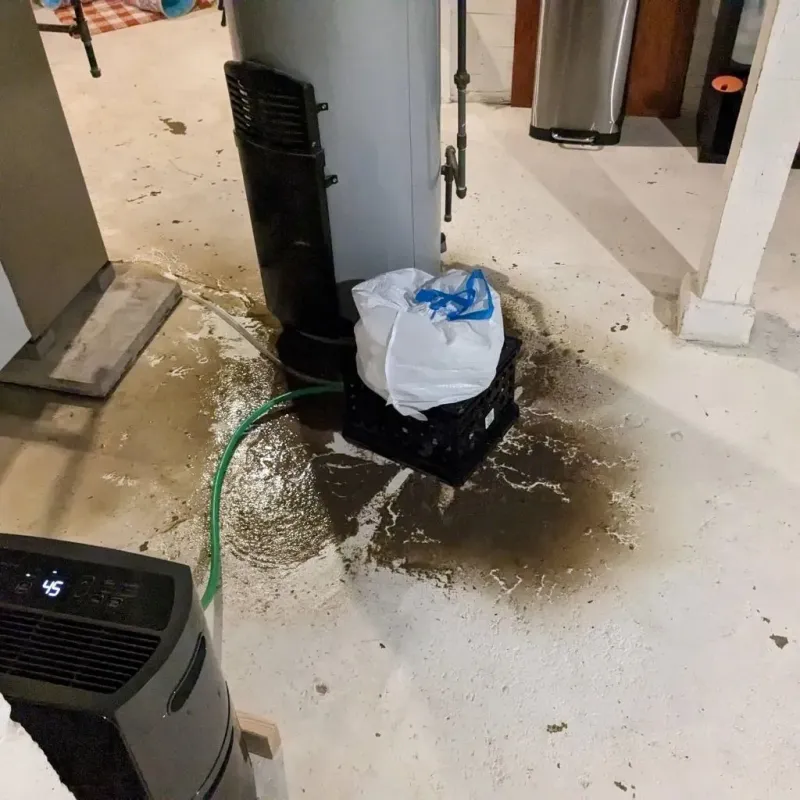 Sewage Backup Cleanup Service in Sparks, GA